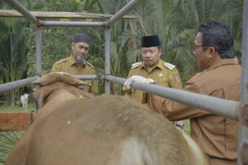 Agam gelar gebyar peternakan-kesehatan hewan dukung optimalisasi vaksinasi