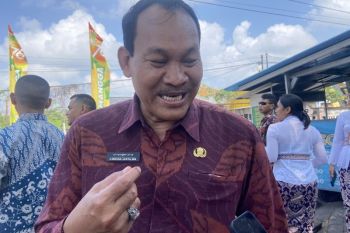 Bali menargetkan pasar induk dibangun pada 2024