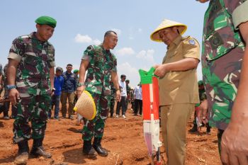 Pangdam XIV/Hasanuddin siapkan lahan dukung budi daya pisang Pemprov Sulsel