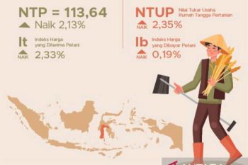 BPS: Nilai tukar petani Sulsel pada Oktober 2023 naik 2,37 persen