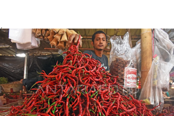 Harga sayur mayur di Banten melonjak naik