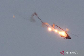 Senator AS dukung gencatan senjata di Gaza