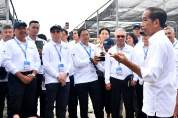 Jokowi invites Indonesian CEOs to visit Mentawir Nursery