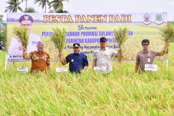 Pj Gubernur Sulsel optimistis surplus dua juta ton beras dapat tercapai