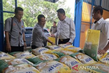 Sekda Gunung Mas nilai beras SPHP miliki kualitas bagus