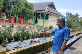 Siswa di Sultra dilibatkan tanam cabai di sekolah dan pekarangan rumah