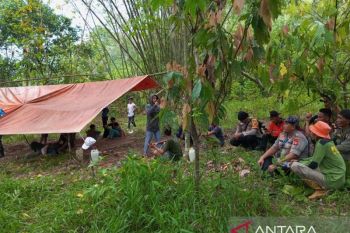 Polisi dan warga Empat Lawang cari bocah yang hilang di hutan