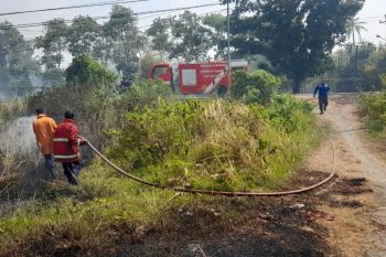 Damkarmat Lampung Selatan padamkan kebakaran lahan di Kalianda