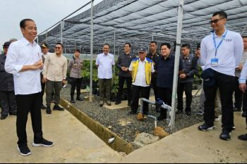 Dampingi Presiden di IKN, Dirut PLN siap penuhi listrik energi bersih