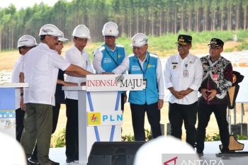 Presiden Jokowi groundbreaking pembangunan PLTS PLN 50 MW di IKN Nusantara, Hadirkan 100 persen energi bersih