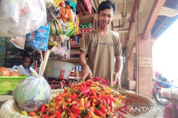 Minim pasokan membuat harga cabai di Sampit merangkak naik