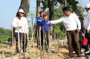 BP Batam tanam 1.800 Pohon Jati Mas untuk wujudkan Batam Baru