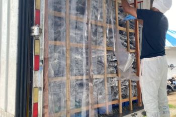 PEMA siap beli ikan nelayan Aceh saat tangkapan melimpah