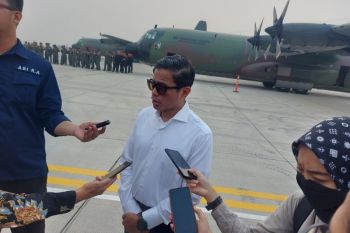 Humanitarian aid distribution to Gaza in two batches: Deputy Minister