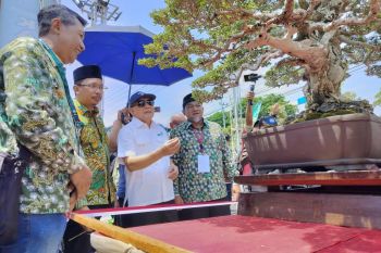 Menkop-UKM siap bantu penggemar bonsai sasar pasar luar negeri