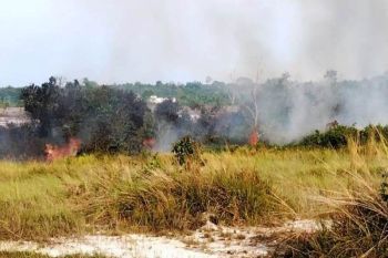 Kaltim alami kecenderungan penurunan titik panas
