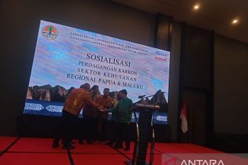 KLHK introduces benefits of carbon for economic improvement in Papua