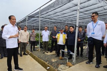 Dampingi kunjungan Presiden di IKN, Dirut PLN siap penuhi kebutuhan listrik dari energi bersih