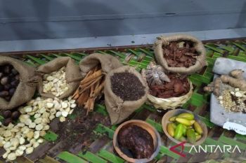 "Bandar Susoh" jejak sejarah rempah di Barsela