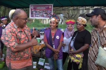 Pemkot Jayapura tingkatkan kemampuan kader persiapkan kampung bebas malaria
