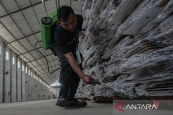 Cara jitu hilangkan rayap dari pintu kayu secara alami