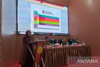 PKK Banyuasin turunkan stunting  melalui program DRPPA