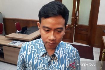 Gibran : Satu survei tidak bisa jadi acuan