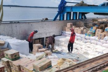 Pemprov Kepri beri bantuan 9.830 Kg pupuk kepada kelompok tani di Natuna