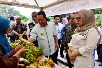 Pemprov Sulsel kumpulkan penyuluh pertanian membahas budidaya pisang