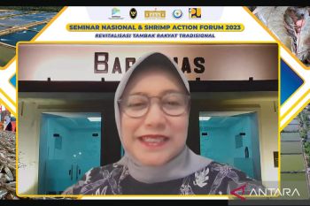 Bappenas presses for accelerating shrimp pond development
