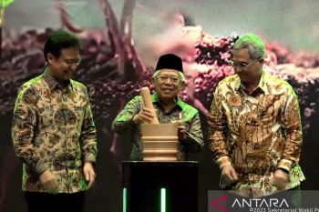 Health innovation reflects face of nation's civilization: VP Amin