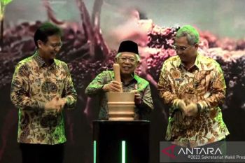 Temu lawak dinobatkan sebagai tanaman obat unggulan Indonesia