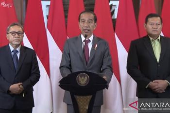 OIC Summit important to stop Israel's attack on Palestine: Jokowi
