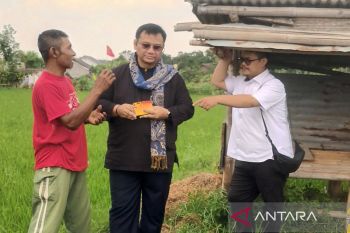 Ombudmans RI: Mekanisme penebusan pupuk bersubsidi perlu dipermudah