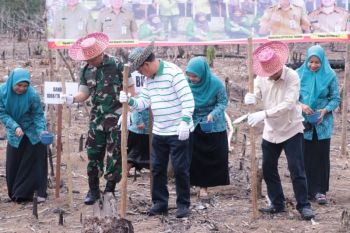 Pemkab Tabalong canangkan tanam perdana padi Gogo
