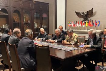 Japanese investor studying food estate project: minister