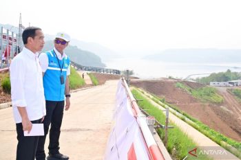 PLN bisa mendorong akses listrik bersih di Indonesia