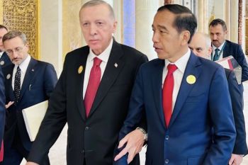 Indonesia, Turkey agree to support Palestinian independence