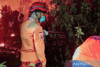 BPBD OKU padamkan karhutla di Sekarjaya