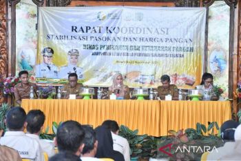 Pemkab Luwu Utara gelar rakor stabilisasi pasokan dan harga pangan