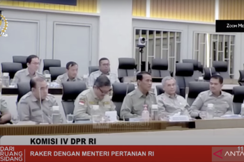 Mentan mengusulkan tambahan anggaran Rp5,83 triliun untuk produksi padi dan jagung