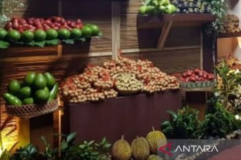 Pemkab Kudus usulkan duku sumber sebagai tanaman  khas
