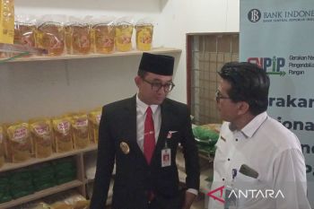 Bulog Banyumas: Stok beras untuk SPHP dan bantuan pangan  masih cukup