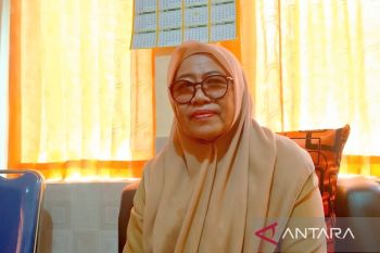 Petani padi di Bima beralih ke jagung dampak fenomena El Nino