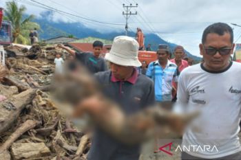 Seorang anak 2 tahun tewas terseret arus banjir di Aceh Tenggara