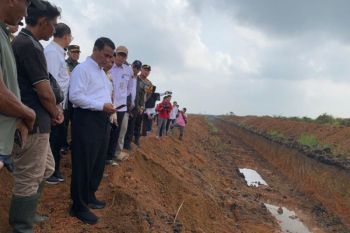 Kementan manfaatkan lahan rawa di Sumsel untuk tingkatkan produksi padi