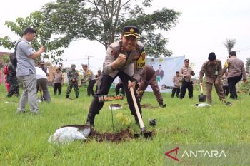 Sukabumi Jabar tanam ribuan pohon cegah pemanasan global