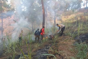 BPBD Trenggalek giatkan patroli hutan antisipasi karhutla meluas