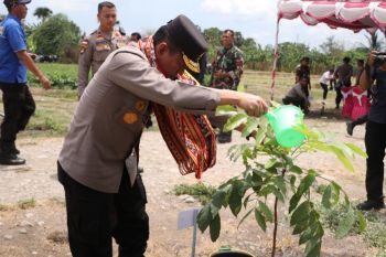 Wakapolda  pimpin gerakan menanam pohon di SMKN I Kupang