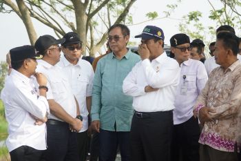 Mentan Amran dongkrak produksi, optimasi lahan rawa di Kalsel
